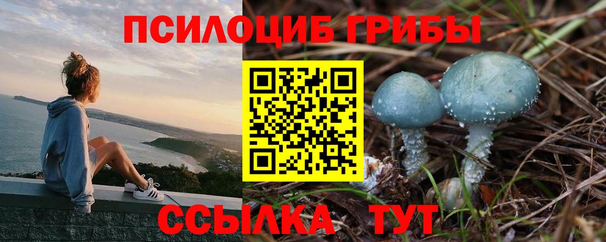 Псилоцибиновые грибы прущие грибы  где продают наркотики  Галлюциногенные грибы мицелий  Полевской  Вход с VPN 